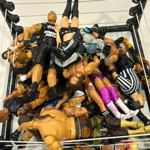 Wwe action figures and rink (27 figures)
